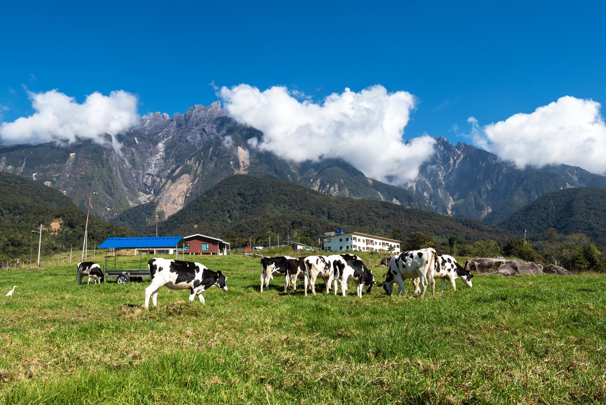 Beautiful Mt Kinabalu Kundasang Sabah Borneo